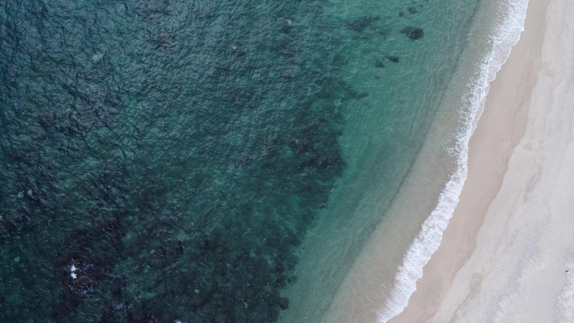 Punta Pescadero Paradise Hotel & Villas ロス・バリレス エクステリア 写真