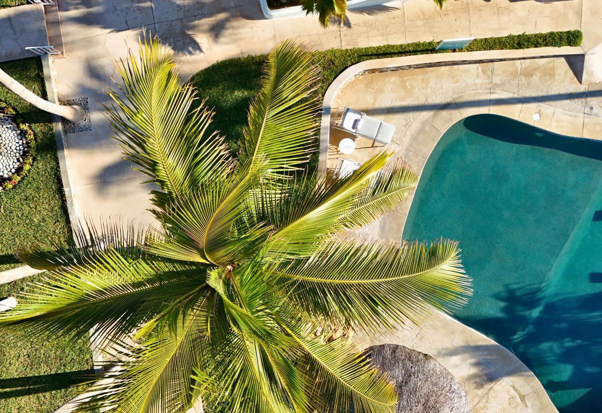 Punta Pescadero Paradise Hotel & Villas ロス・バリレス エクステリア 写真